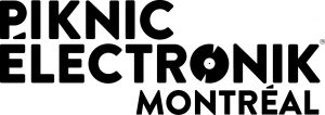 piknic electronik